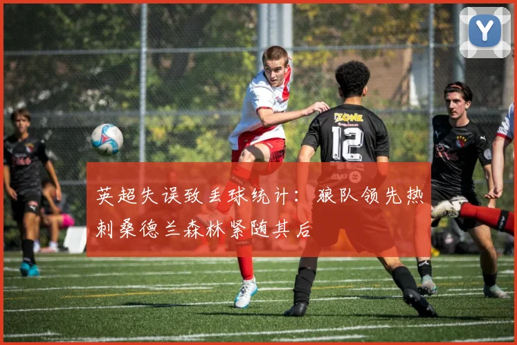 英超失误致丢球统计：狼队领先热刺桑德兰森林紧随其后