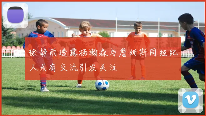 徐静雨透露杨瀚森与詹姆斯同经纪人或有交流引发关注
