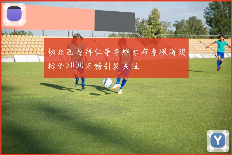 切尔西与拜仁争夺维尔布鲁根海鸥标价5000万镑引发关注