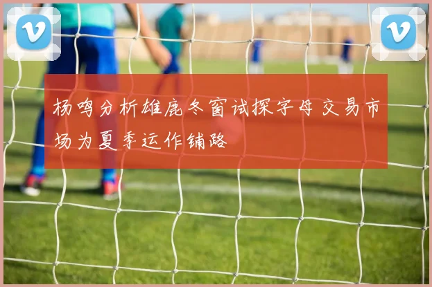 杨鸣分析雄鹿冬窗试探字母交易市场为夏季运作铺路