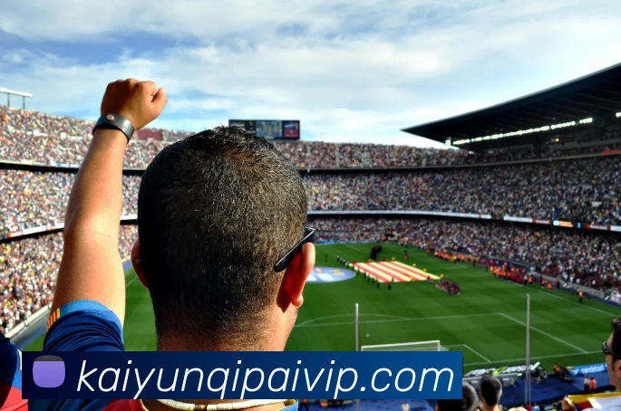 开云棋牌APP 封面图